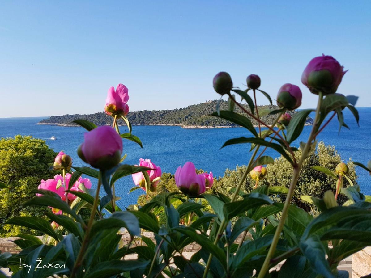 Apartments Sv.Jakov ドゥブロブニク エクステリア 写真